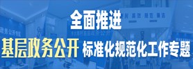 全面推進基層政務公開標準化規范化工作專題